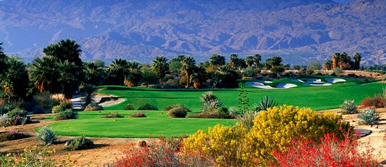 Palm Desert Mountains View